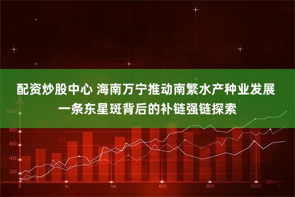 配资炒股中心 海南万宁推动南繁水产种业发展 一条东星斑背后的补链强链探索